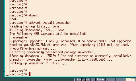 screenshot of apt-get install wmweather